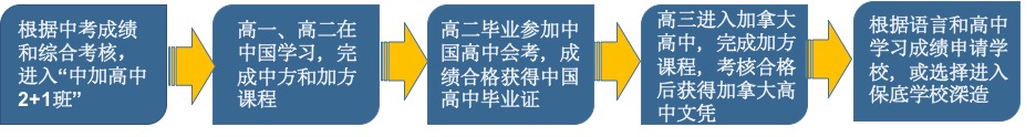 跨文化管理五力综合模型