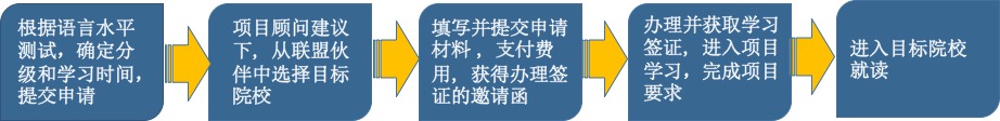 跨文化管理五力综合模型